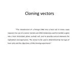 Cloning vectors - slide 1