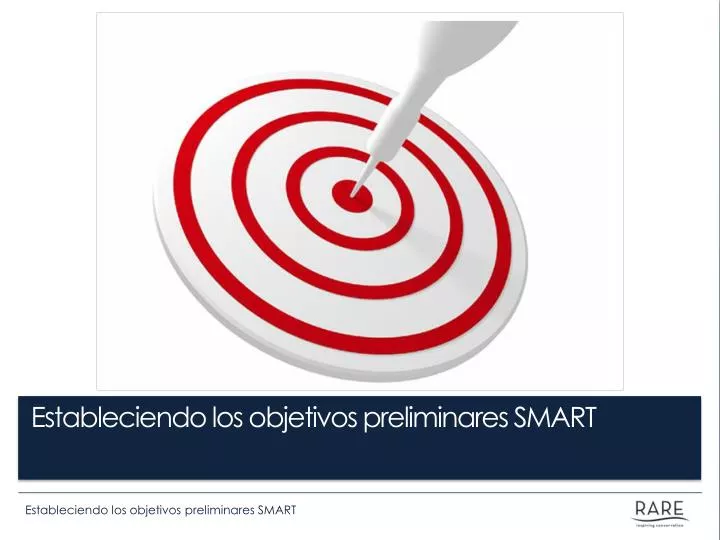 estableciendo los objetivos preliminares smart