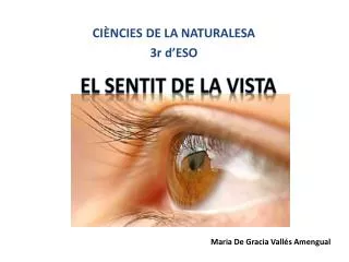 el sentit de la vista