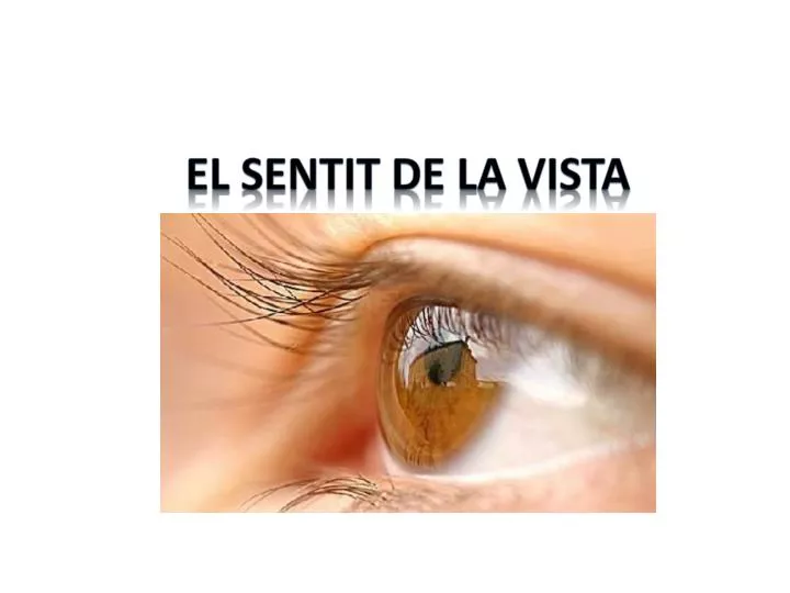 el sentit de la vista