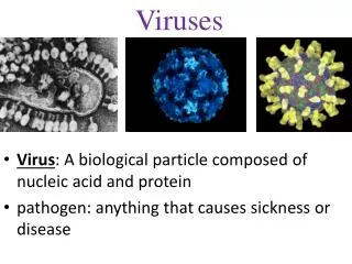 Virus : A biological particle composed of nucleic acid and protein