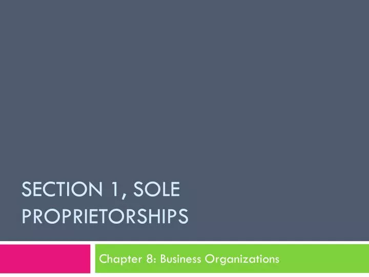 section 1 sole proprietorships