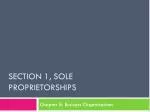 Section 1, Sole Proprietorships - slide 1