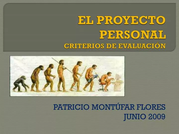 el proyecto personal criterios de evaluaci n