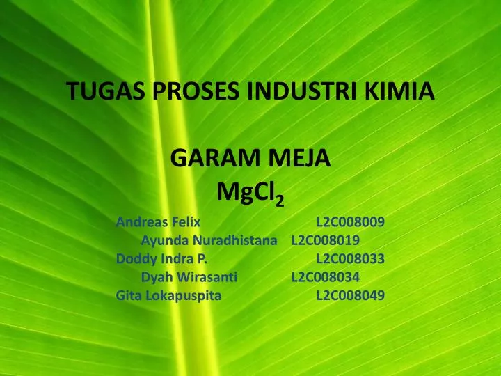 tugas proses industri kimia garam meja mgcl 2