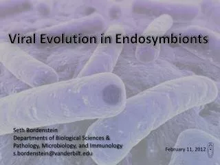 Viral Evolution in Endosymbionts