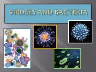 Viruses and bacteria