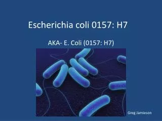 Escherichia coli 0157: H7