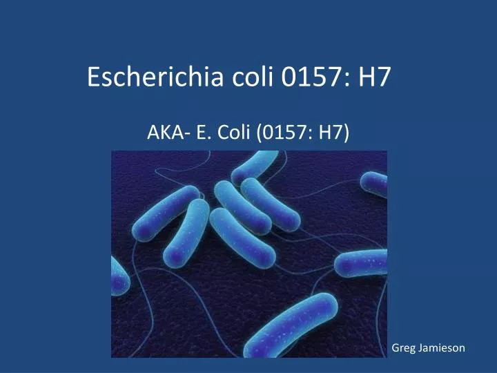 escherichia coli 0157 h7