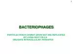 BACTERIOPHAGES - slide 1