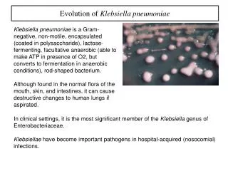 Evolution of Klebsiella pneumoniae