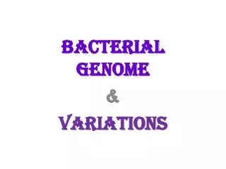 Bacterial Genome &amp; Variations