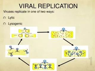 VIRAL REPLICATION