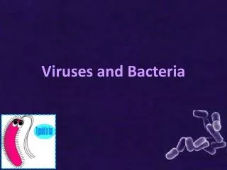 Viruses and Bacteria