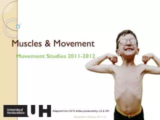Muscles &amp; Movement