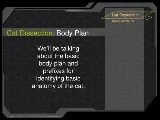 Cat Dissection: Body Plan