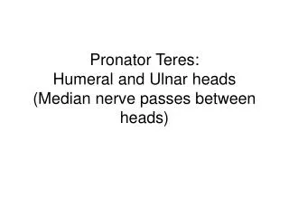 Pronator Teres: Humeral and U lnar heads (Median nerve passes between heads)