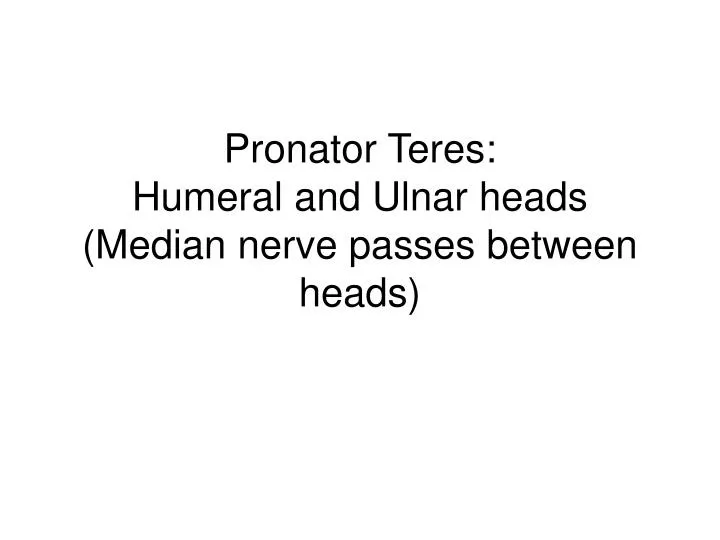 pronator teres humeral and u lnar heads median nerve passes between heads