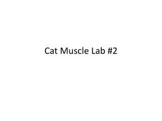 Cat Muscle Lab #2