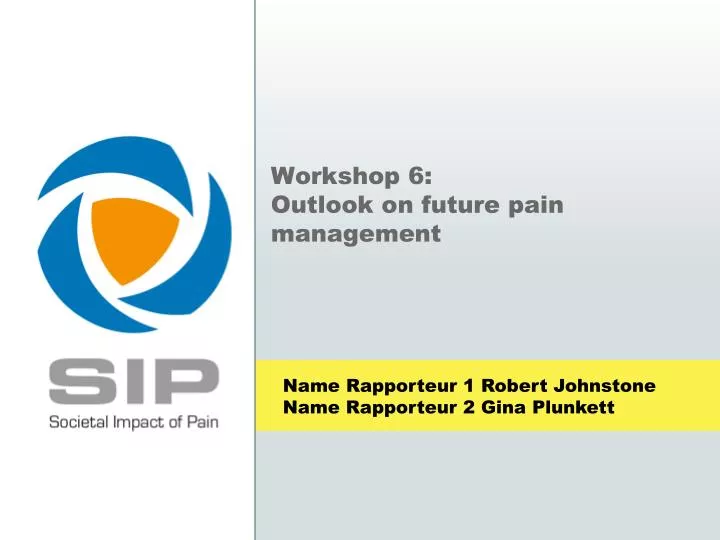 workshop 6 outlook on future pain management