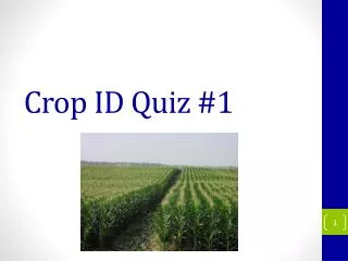 Crop ID Quiz #1