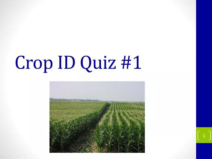 crop id quiz 1