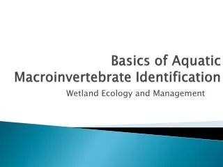 Basics of Aquatic Macroinvertebrate Identification