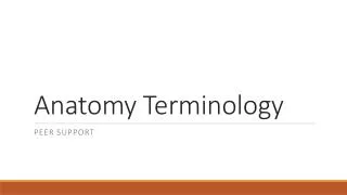 anatomy terminology