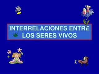 interrelaciones entre los seres vivos