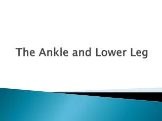 The Ankle and Lower Leg
