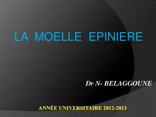 ann e universitaire 2012 2013