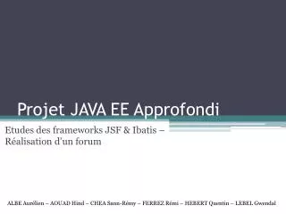 projet java ee approfondi