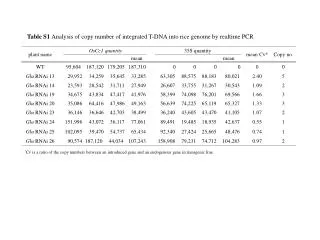 Table S1 Analysis of copy number of integrated T-DNA into rice genome by realtime PCR