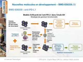 Nouvelles molécules en développement – BMS-936559 (1)
