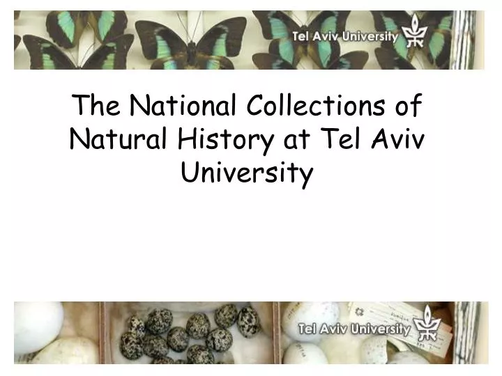 the national collections of natural history at tel aviv university