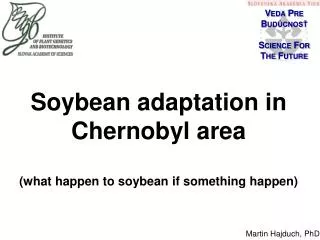 S oybean adaptation in Chernobyl area ( what happen to soybean if something happen)