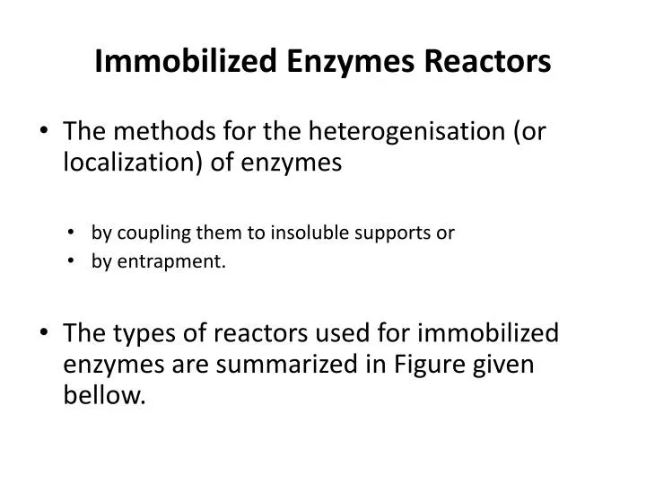 immobilized enzymes reactors