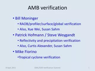 AMB verification