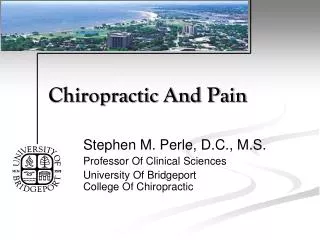 Chiropractic And Pain