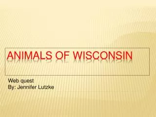 Animals of Wisconsin