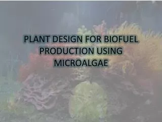 PLANT DESIGN FOR BIOFUEL PRODUCTION USING MICROALGAE