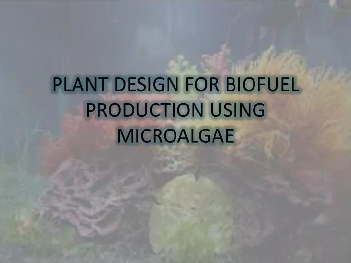 plant design for biofuel production using microalgae