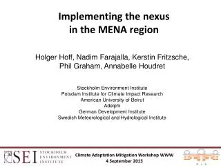 Implementing the nexus in the MENA region