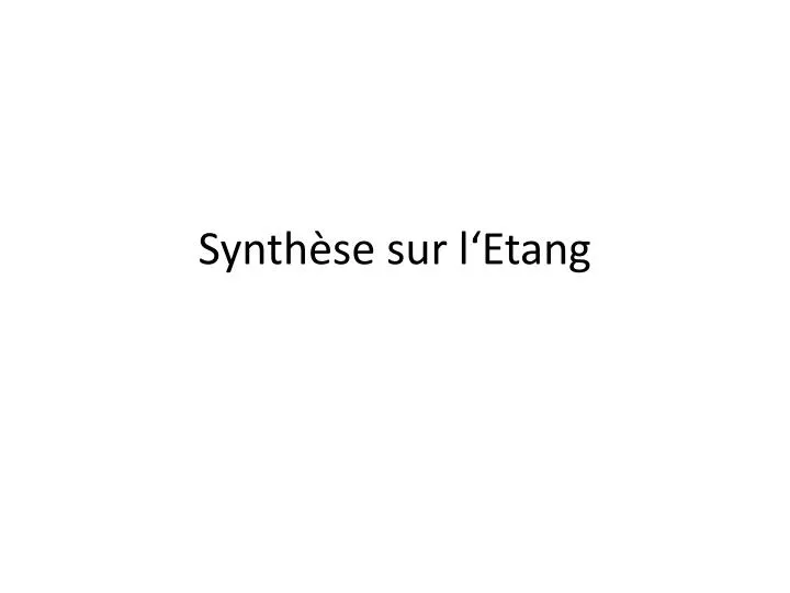 synth se sur l etang