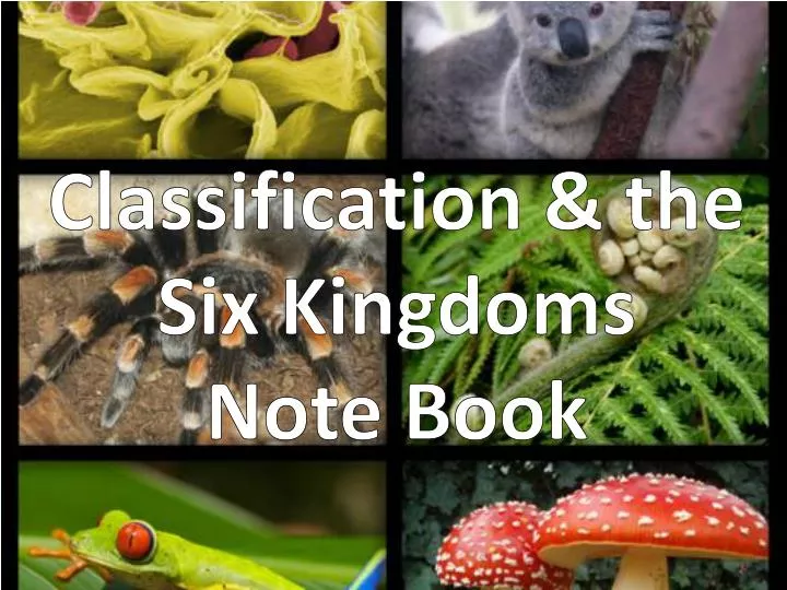 classification the six kingdoms note book
