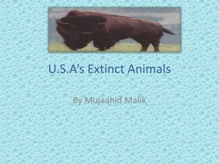 u s a s extinct animals
