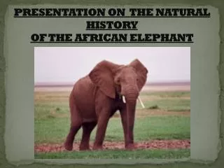 PRESENTATION ON THE NATURAL HISTORY OF THE AFRICAN ELEPHANT