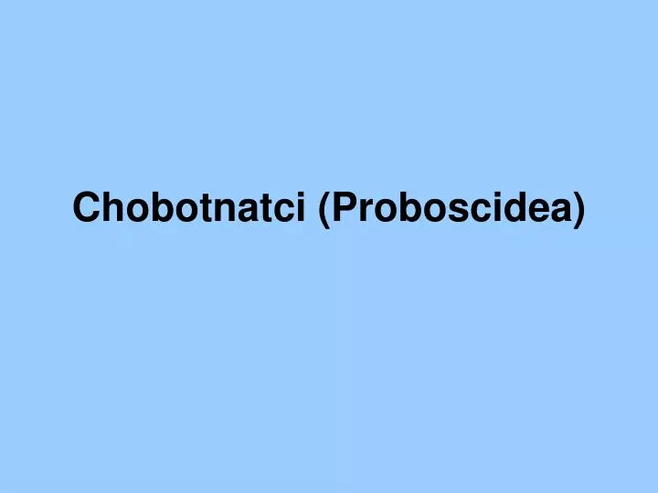 chobotnatci proboscidea