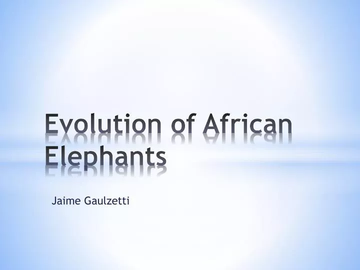 evolution of african elephants