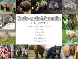 Ordo-ordo Mamalia